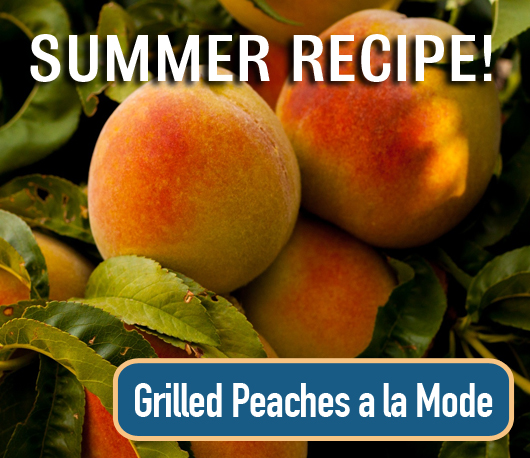 Grilled Peaches a la Mode